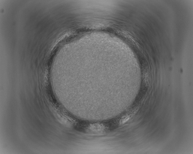 X0000066520591200604071554