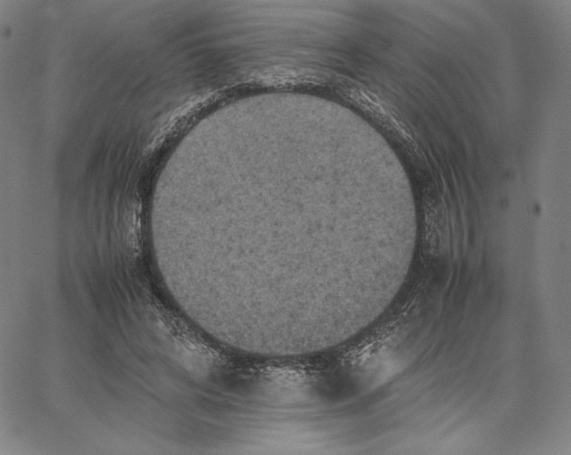 X0000066520592200604071554