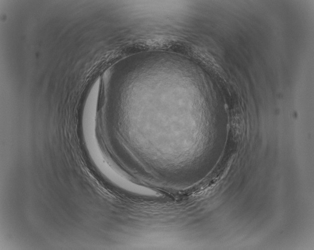 X0000066520593200604071554