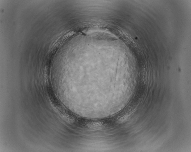 X0000066520594200604071554