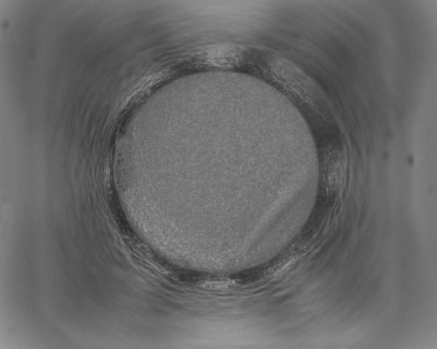 X0000066520595200604071554