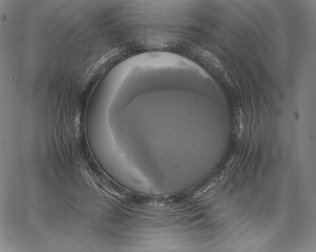 X0000066520596200604071554