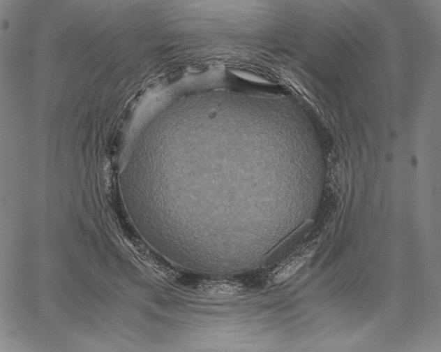 X0000066520597200604071554