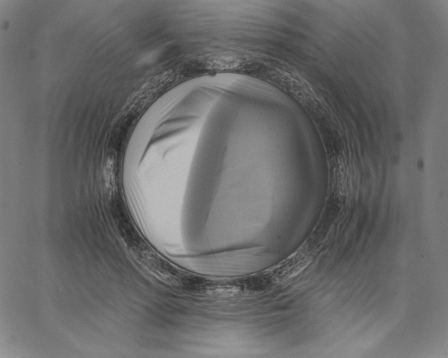 X0000066520598200604071554