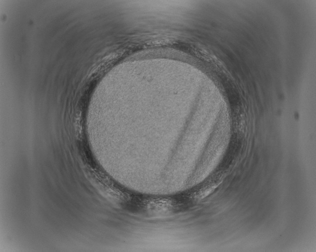 X0000066520599200604071554