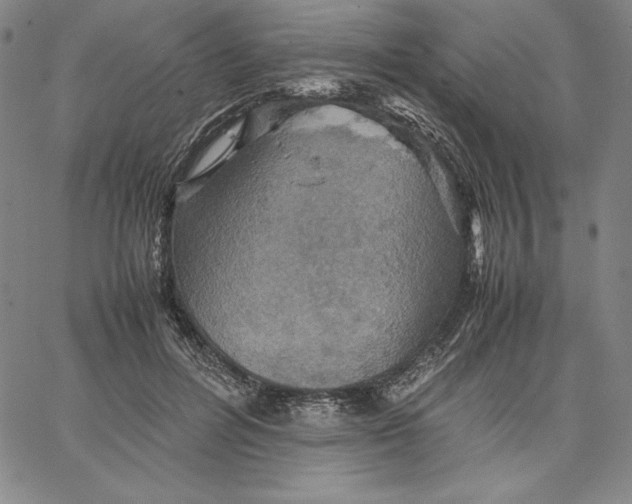 X0000066520600200604071554