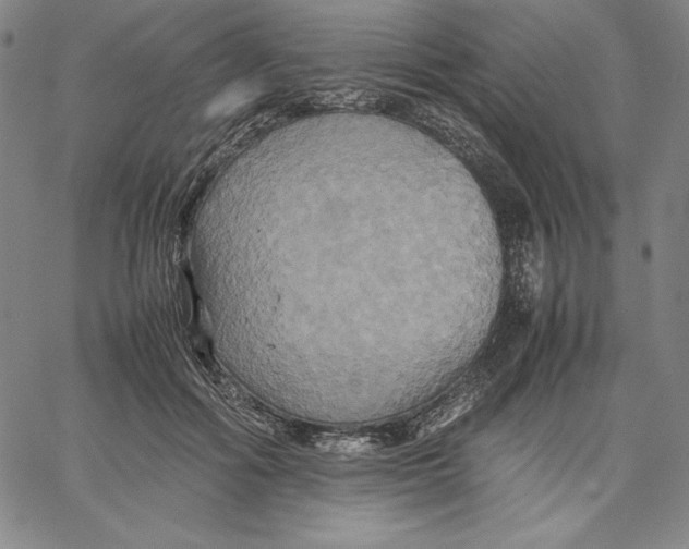 X0000066520602200604071554