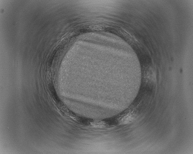 X0000066520603200604071554