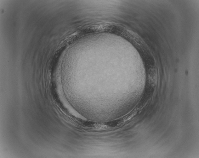 X0000066520605200604071554