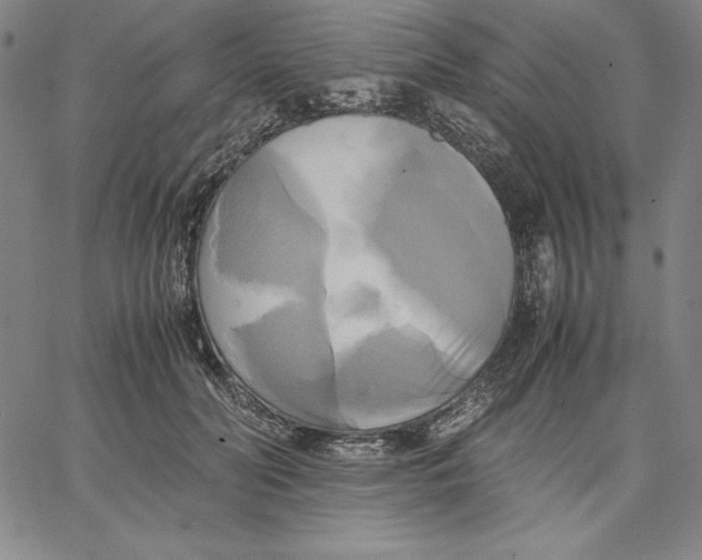 X0000066520606200604071554