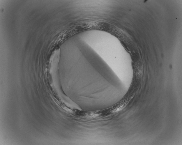 X0000066520607200604071554