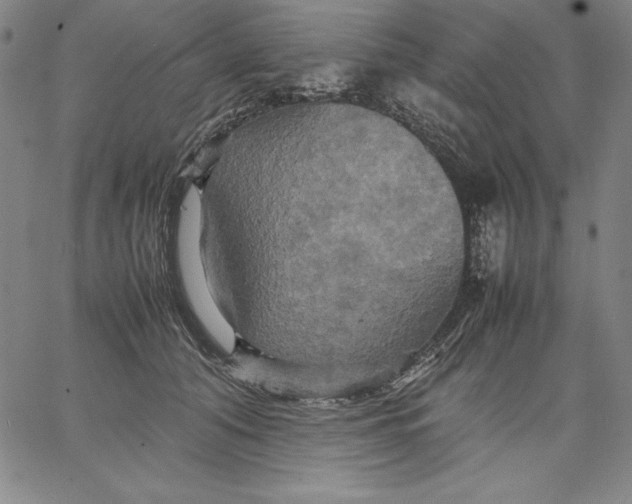 X0000066520608200604071554