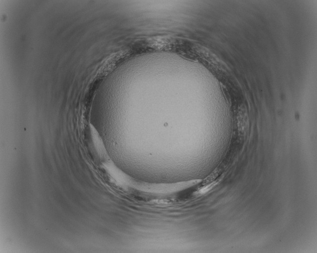 X0000066520611200604071553