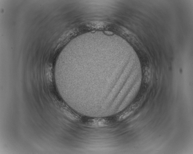 X0000066520612200604071553