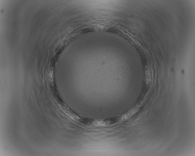 X0000066520613200604071553