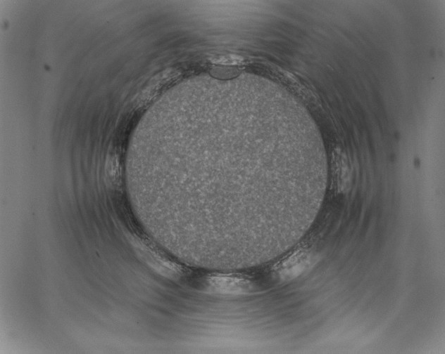 X0000066520614200604071553