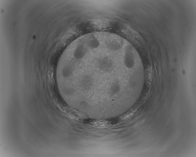 X0000066520615200604071553