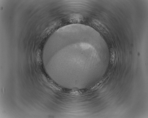 X0000066520616200604071553