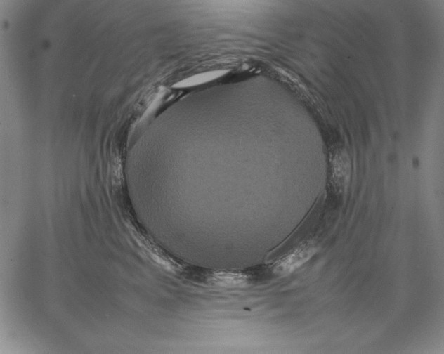 X0000066520617200604071553