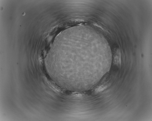 X0000066520620200604071553