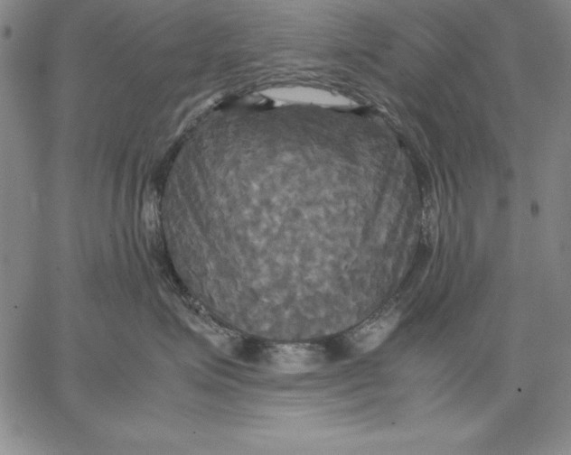 X0000066520623200604071553