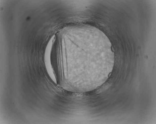 X0000066520624200604071553