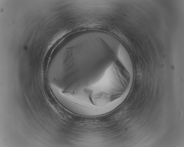 X0000066520626200604071552