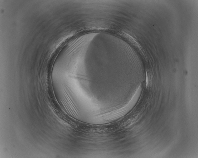 X0000066520627200604071553