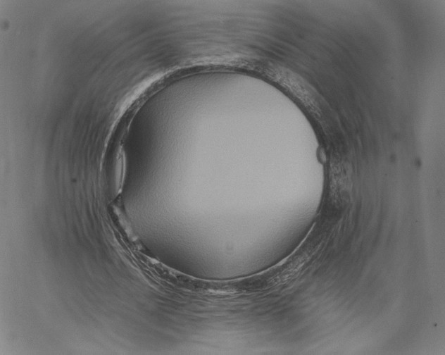 X0000066520628200604071553