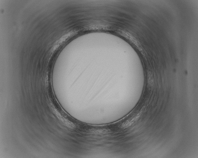 X0000066520629200604071553