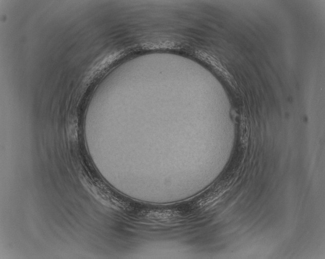 X0000066520631200604071553