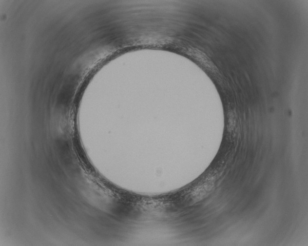 X0000066520632200604071553