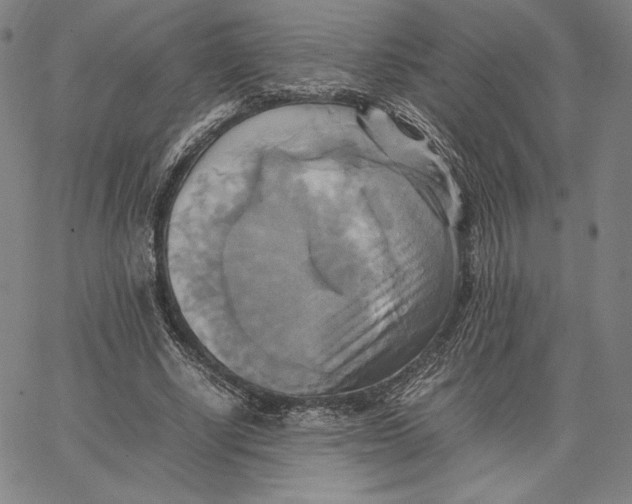 X0000066520634200604071553