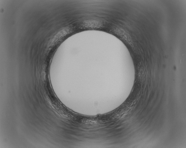 X0000066520635200604071553