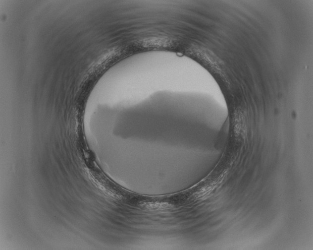 X0000066520637200604071553