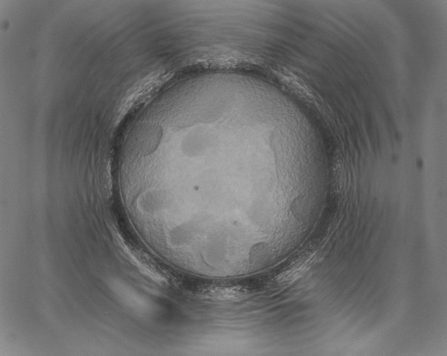 X0000066520638200604071553