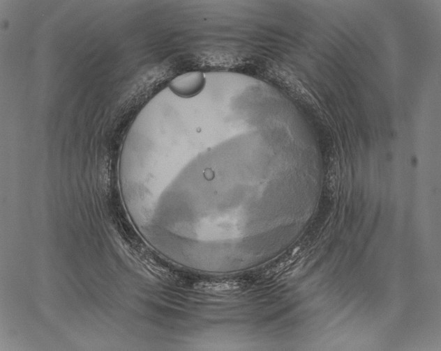 X0000066520639200604071553