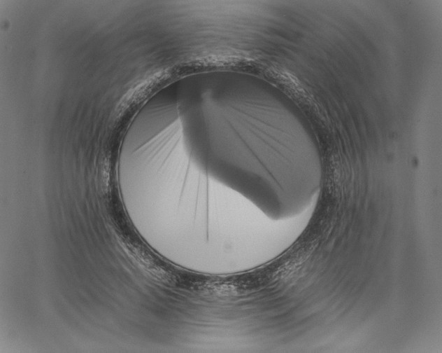 X0000066520640200604071553