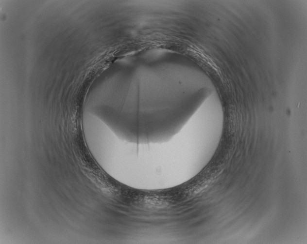 X0000066520641200604071553