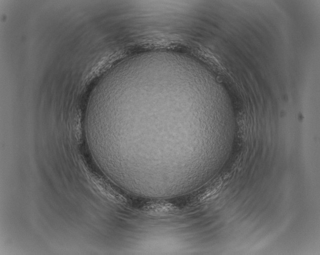 X0000066520642200604071553