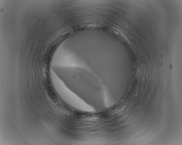 X0000066520643200604071553