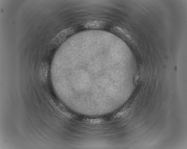 X0000066520645200604071553