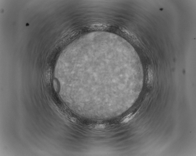 X0000066520647200604071553