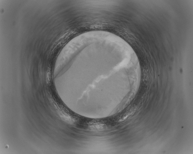 X0000066520648200604071553