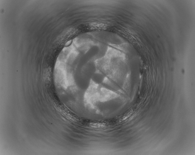 X0000066520649200604071553