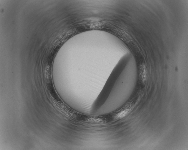 X0000066520650200604071553