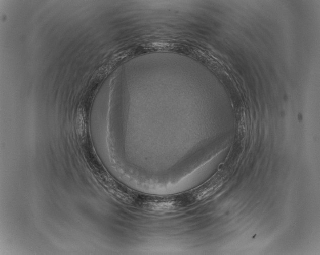 X0000066520651200604071553