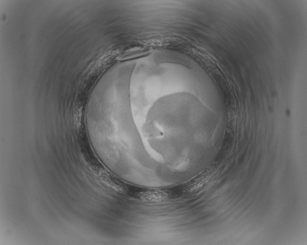 X0000066520652200604071553