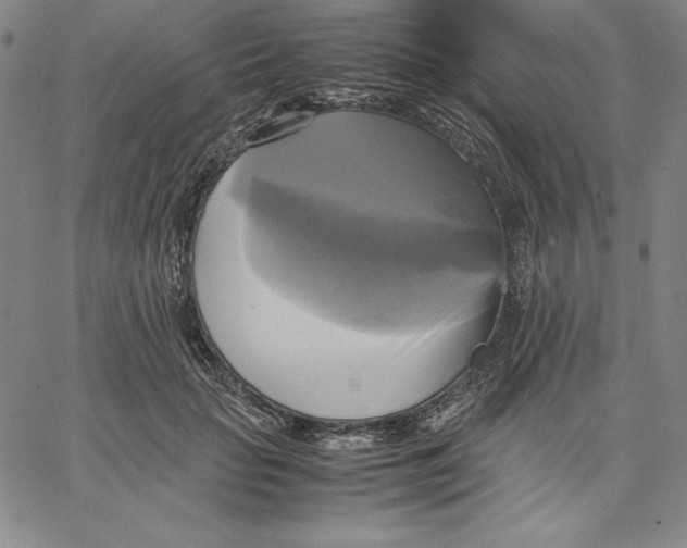 X0000066520653200604071553