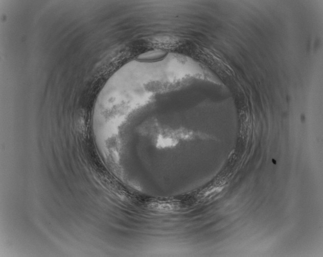 X0000066520655200604071553